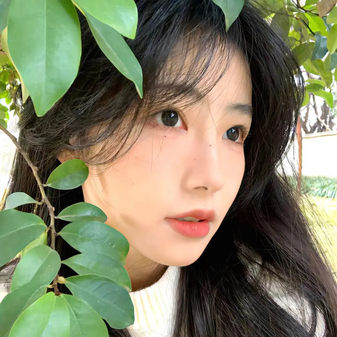 疯狂的果实