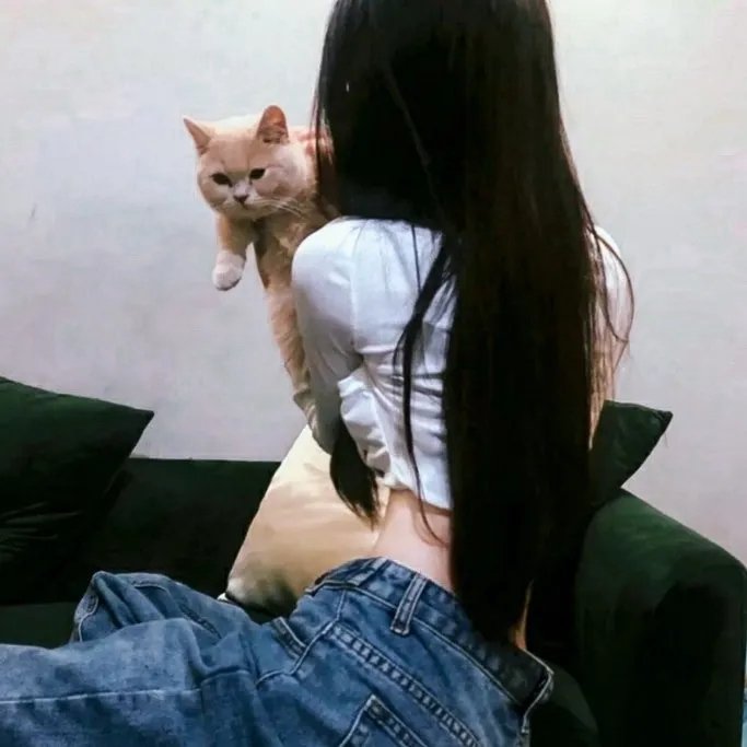 快乐妓女去好莱坞